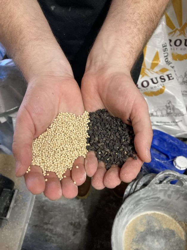 Gluten Free beer – what’s it all about?